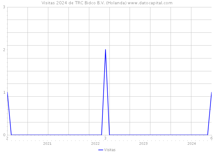 Visitas 2024 de TRC Bidco B.V. (Holanda) 