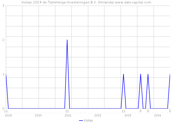Visitas 2024 de Tamminga Investeringen B.V. (Holanda) 