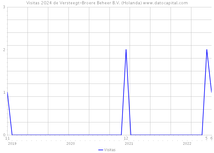 Visitas 2024 de Versteegt-Broere Beheer B.V. (Holanda) 