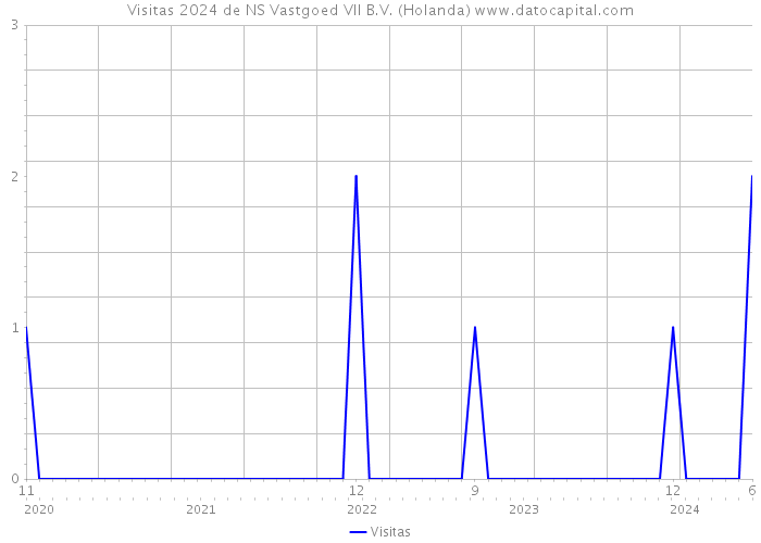 Visitas 2024 de NS Vastgoed VII B.V. (Holanda) 