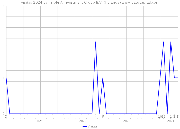Visitas 2024 de Triple A Investment Group B.V. (Holanda) 