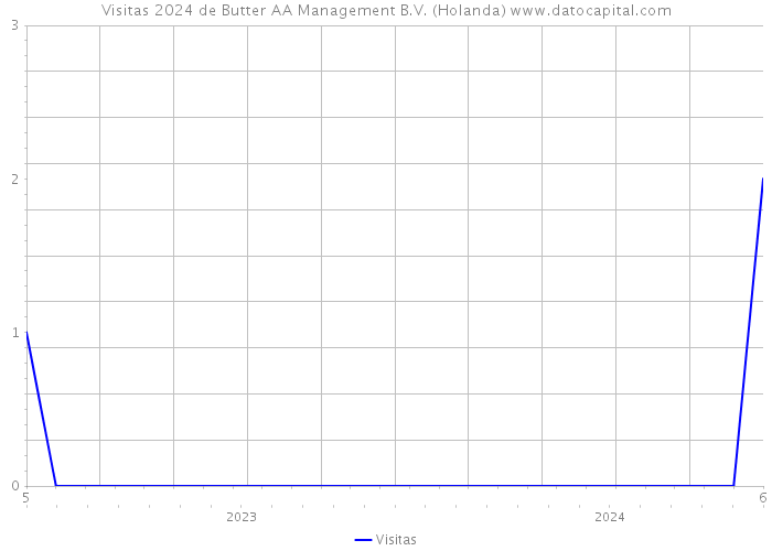 Visitas 2024 de Butter AA Management B.V. (Holanda) 