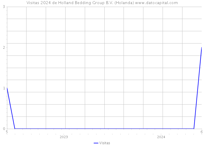 Visitas 2024 de Holland Bedding Group B.V. (Holanda) 