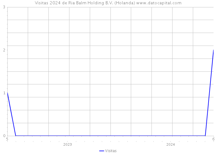 Visitas 2024 de Ria Balm Holding B.V. (Holanda) 