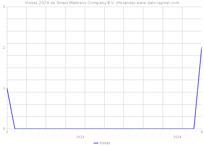 Visitas 2024 de Smart Mattress Company B.V. (Holanda) 