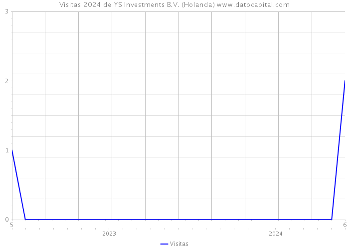Visitas 2024 de YS Investments B.V. (Holanda) 