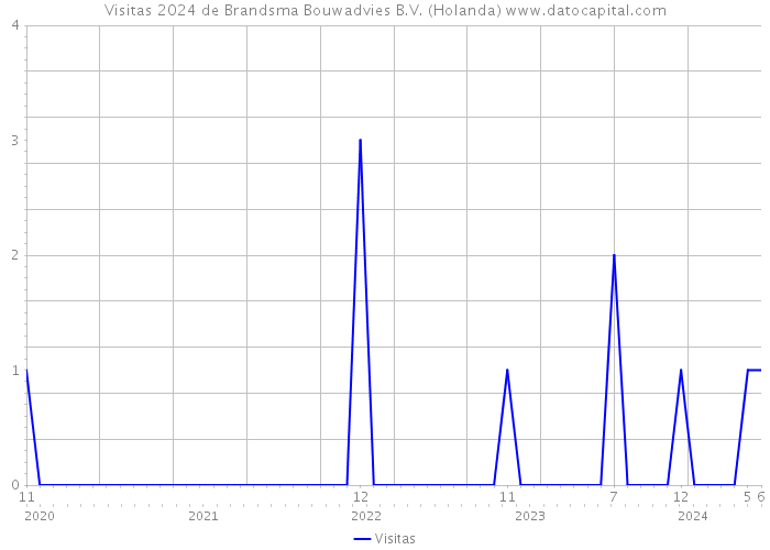 Visitas 2024 de Brandsma Bouwadvies B.V. (Holanda) 