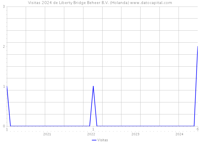 Visitas 2024 de Liberty Bridge Beheer B.V. (Holanda) 