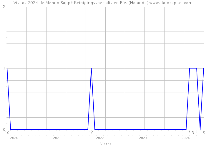 Visitas 2024 de Menno Sappé Reinigingsspecialisten B.V. (Holanda) 