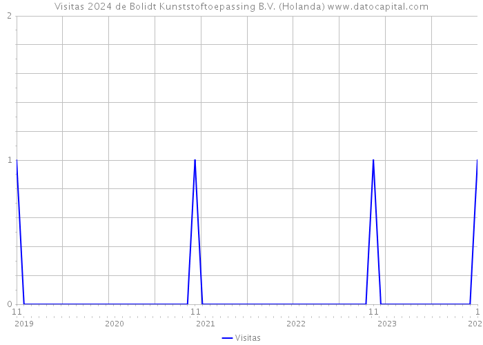 Visitas 2024 de Bolidt Kunststoftoepassing B.V. (Holanda) 