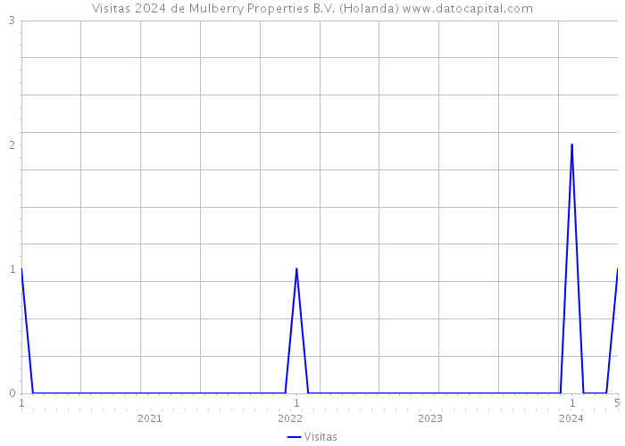 Visitas 2024 de Mulberry Properties B.V. (Holanda) 