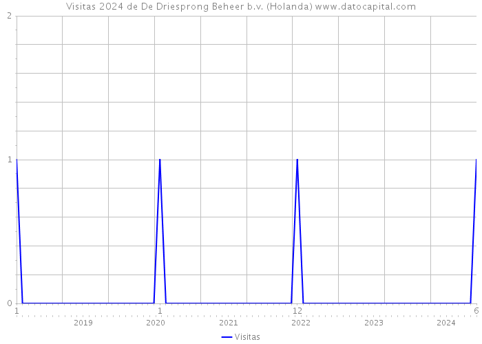 Visitas 2024 de De Driesprong Beheer b.v. (Holanda) 