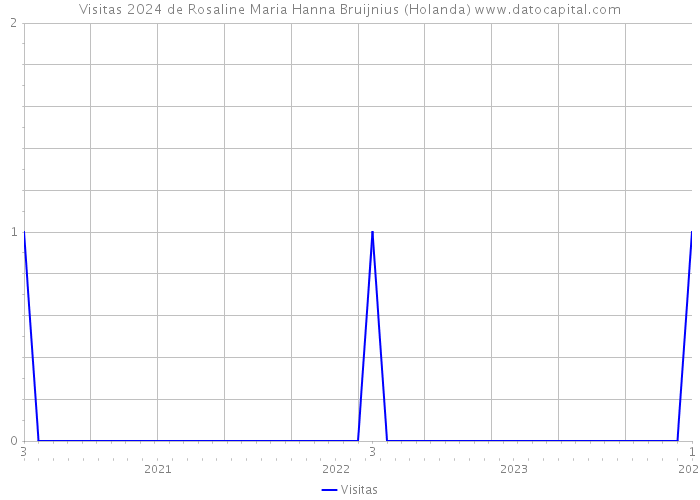 Visitas 2024 de Rosaline Maria Hanna Bruijnius (Holanda) 