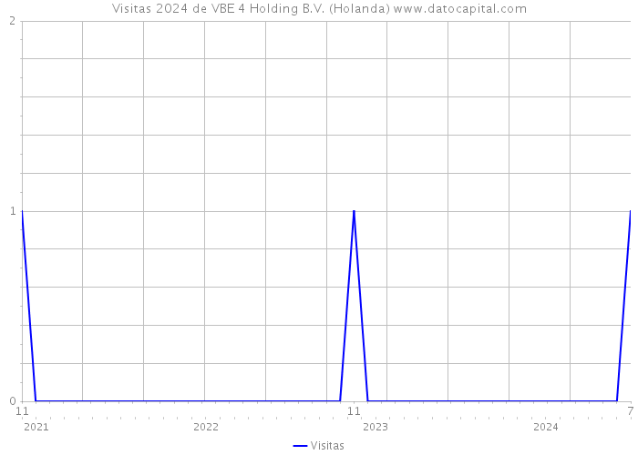 Visitas 2024 de VBE 4 Holding B.V. (Holanda) 