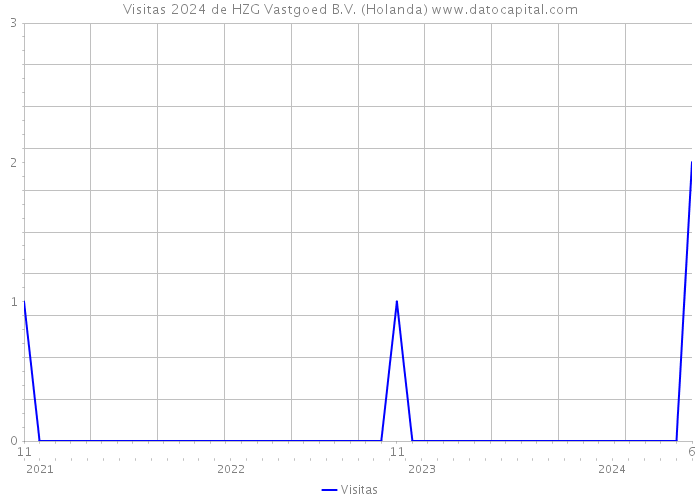 Visitas 2024 de HZG Vastgoed B.V. (Holanda) 