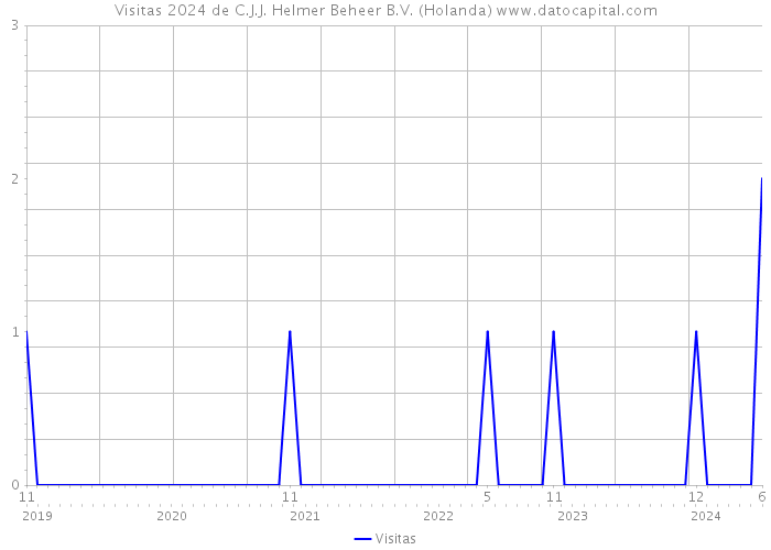 Visitas 2024 de C.J.J. Helmer Beheer B.V. (Holanda) 