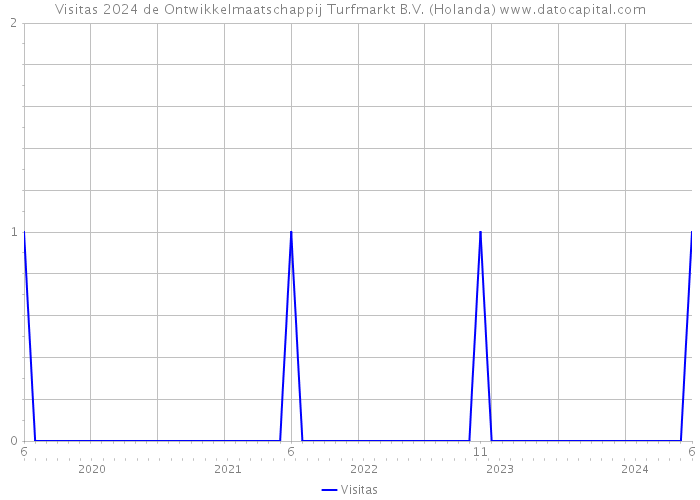 Visitas 2024 de Ontwikkelmaatschappij Turfmarkt B.V. (Holanda) 