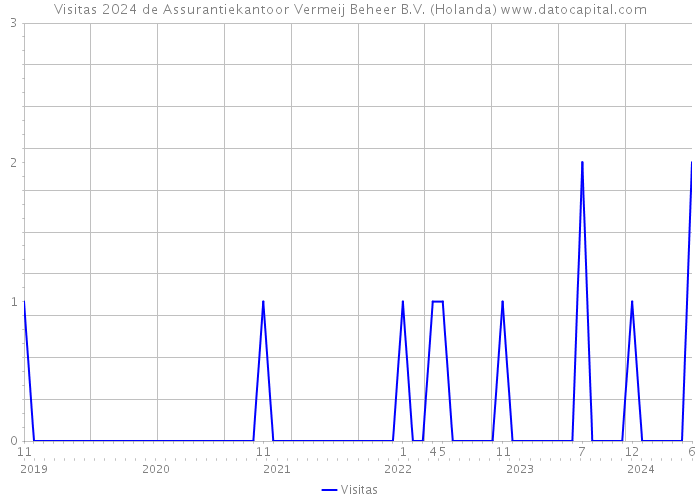 Visitas 2024 de Assurantiekantoor Vermeij Beheer B.V. (Holanda) 