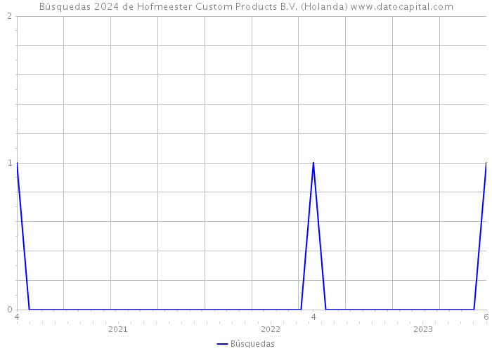 Búsquedas 2024 de Hofmeester Custom Products B.V. (Holanda) 