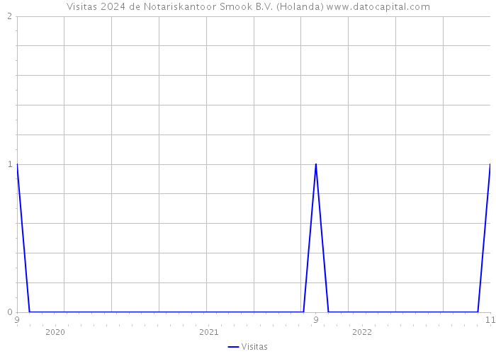 Visitas 2024 de Notariskantoor Smook B.V. (Holanda) 