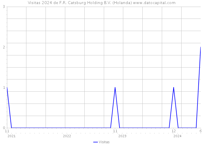 Visitas 2024 de F.R. Catsburg Holding B.V. (Holanda) 