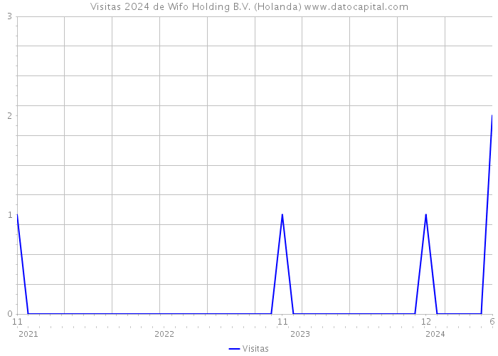 Visitas 2024 de Wifo Holding B.V. (Holanda) 