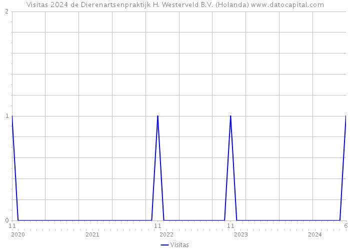Visitas 2024 de Dierenartsenpraktijk H. Westerveld B.V. (Holanda) 