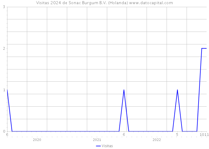 Visitas 2024 de Sonac Burgum B.V. (Holanda) 