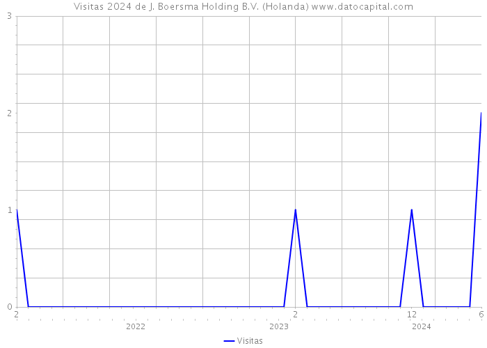 Visitas 2024 de J. Boersma Holding B.V. (Holanda) 