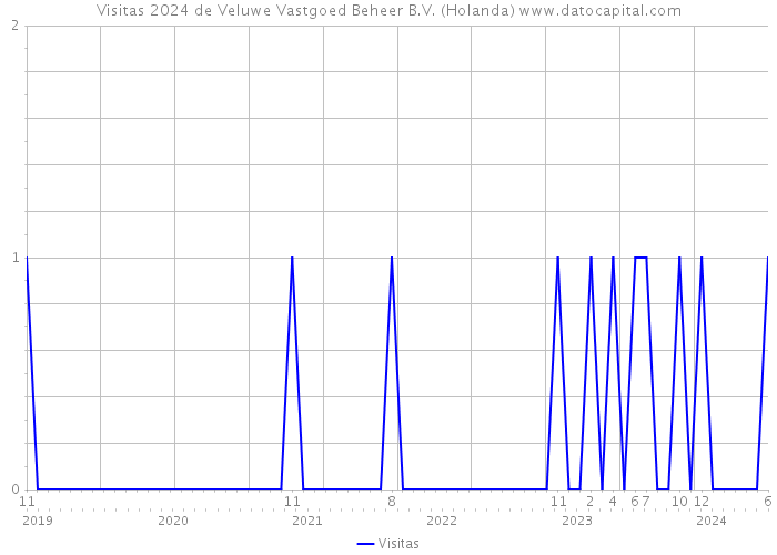 Visitas 2024 de Veluwe Vastgoed Beheer B.V. (Holanda) 