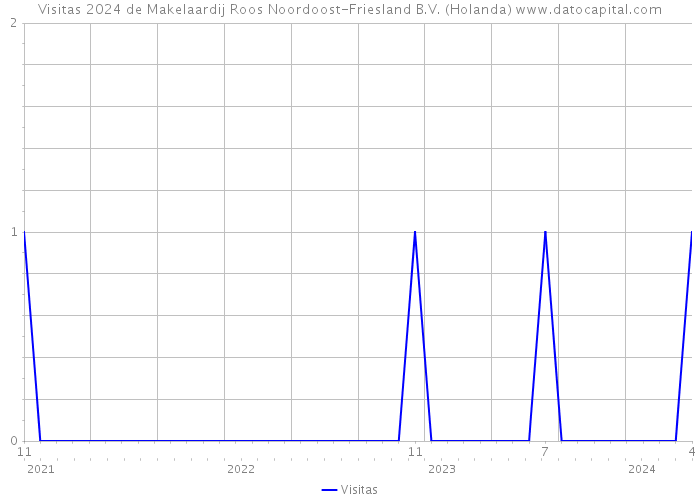 Visitas 2024 de Makelaardij Roos Noordoost-Friesland B.V. (Holanda) 