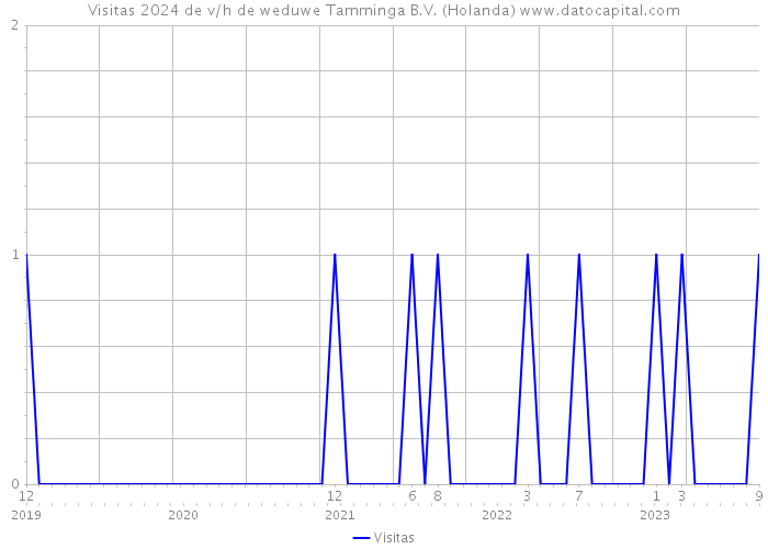 Visitas 2024 de v/h de weduwe Tamminga B.V. (Holanda) 