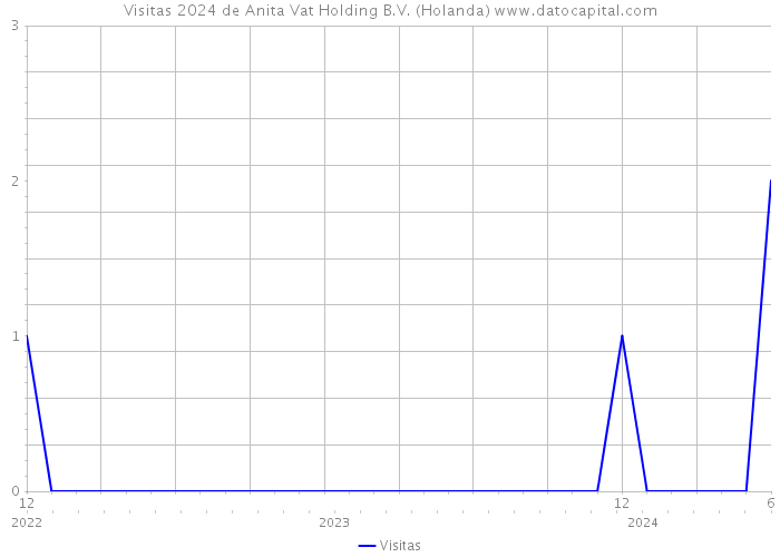 Visitas 2024 de Anita Vat Holding B.V. (Holanda) 