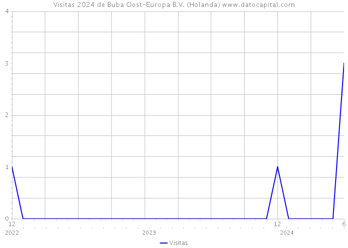 Visitas 2024 de Buba Oost-Europa B.V. (Holanda) 