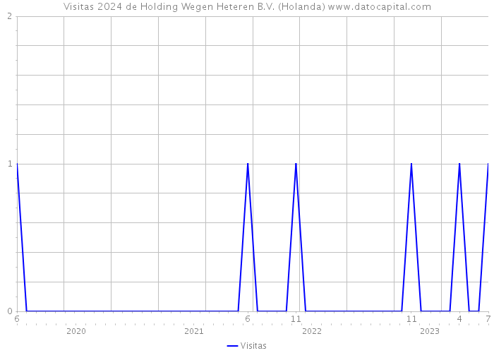 Visitas 2024 de Holding Wegen Heteren B.V. (Holanda) 