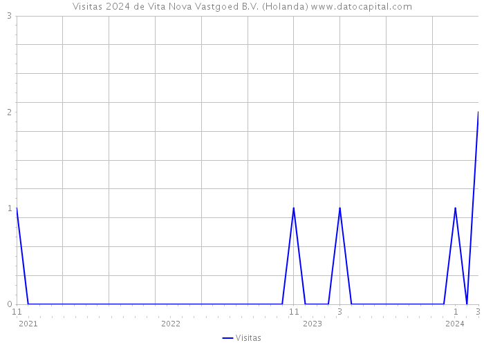 Visitas 2024 de Vita Nova Vastgoed B.V. (Holanda) 