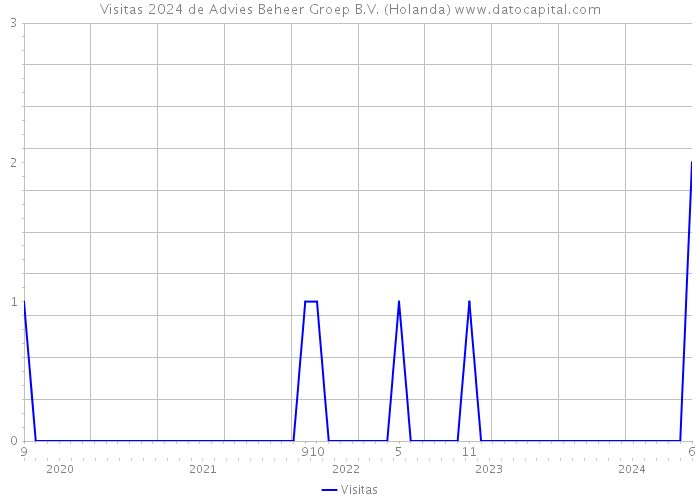 Visitas 2024 de Advies Beheer Groep B.V. (Holanda) 