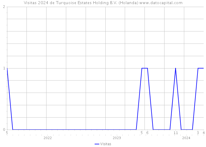 Visitas 2024 de Turquoise Estates Holding B.V. (Holanda) 