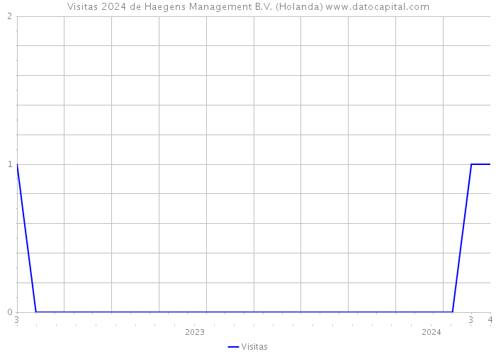 Visitas 2024 de Haegens Management B.V. (Holanda) 