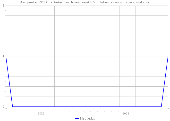 Búsquedas 2024 de Aeternum Investment B.V. (Holanda) 