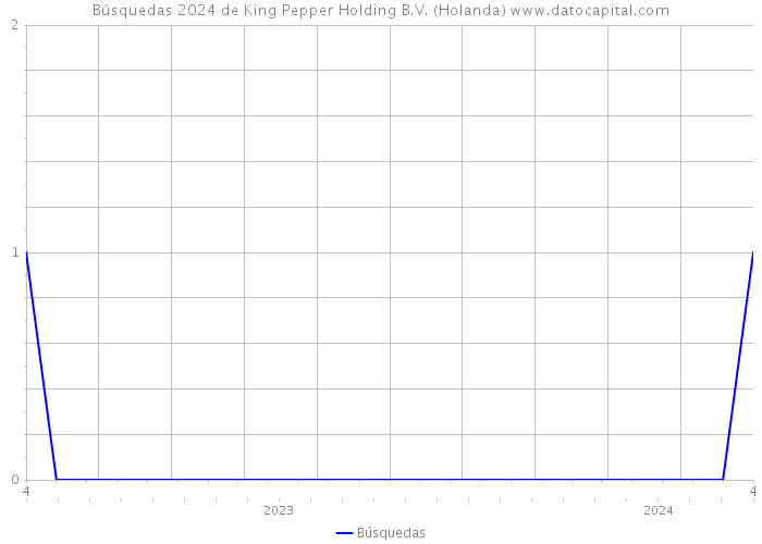 Búsquedas 2024 de King Pepper Holding B.V. (Holanda) 