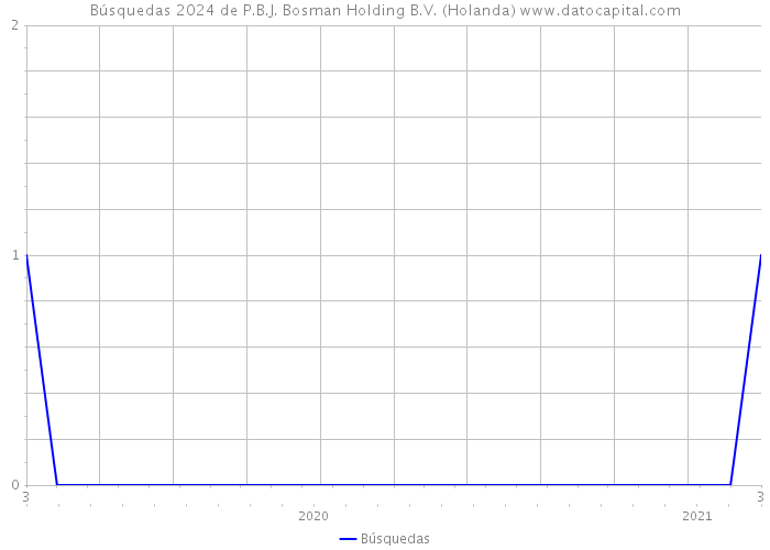 Búsquedas 2024 de P.B.J. Bosman Holding B.V. (Holanda) 