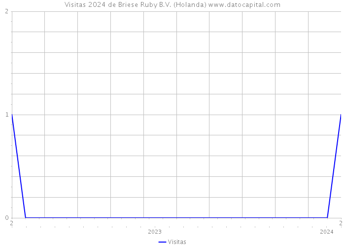 Visitas 2024 de Briese Ruby B.V. (Holanda) 