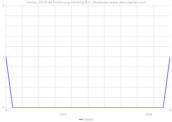 Visitas 2024 de Felsbourg Holding B.V. (Holanda) 