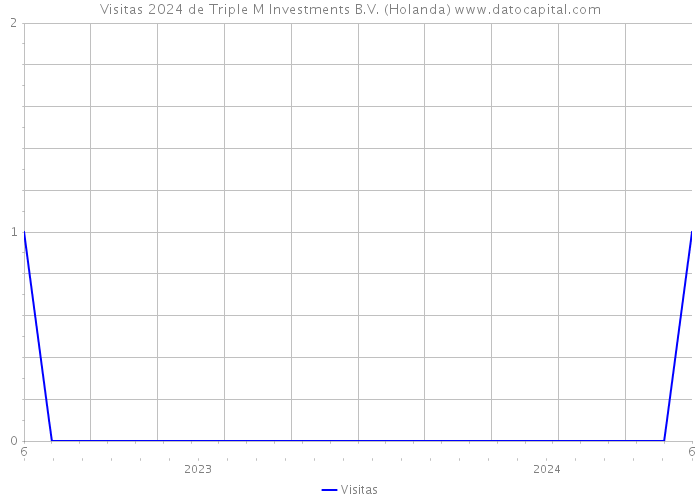 Visitas 2024 de Triple M Investments B.V. (Holanda) 