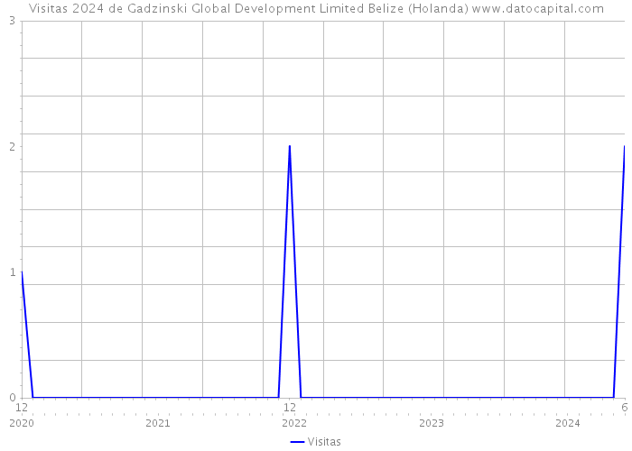 Visitas 2024 de Gadzinski Global Development Limited Belize (Holanda) 