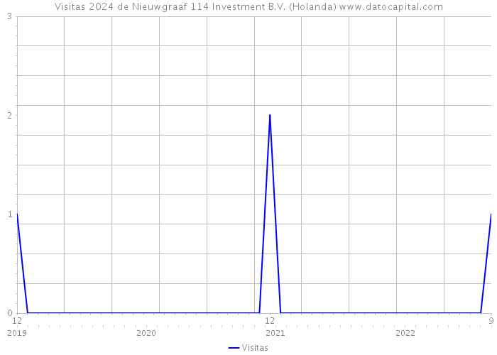 Visitas 2024 de Nieuwgraaf 114 Investment B.V. (Holanda) 