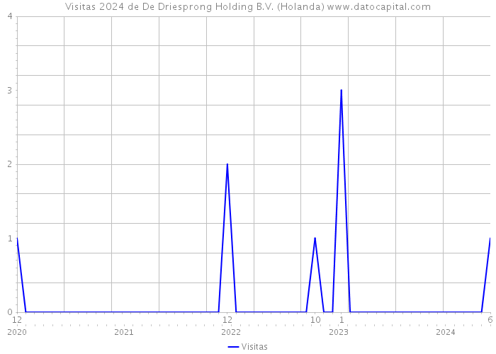 Visitas 2024 de De Driesprong Holding B.V. (Holanda) 