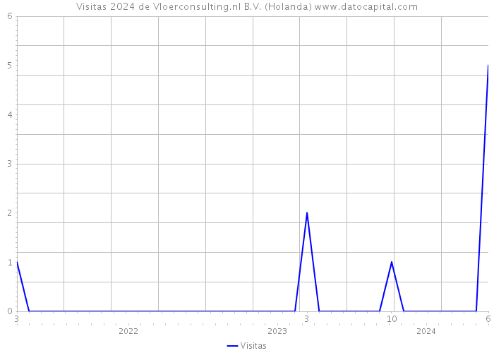 Visitas 2024 de Vloerconsulting.nl B.V. (Holanda) 