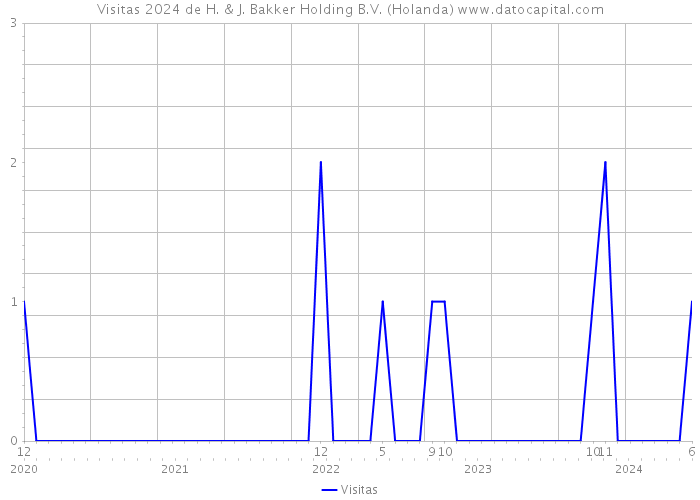 Visitas 2024 de H. & J. Bakker Holding B.V. (Holanda) 